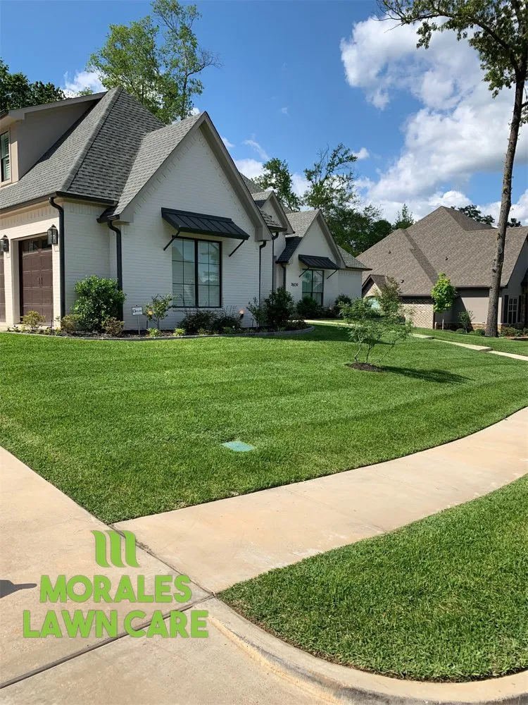 Professional yard cleanup service for homes across Tyler, TX - Morales Lawn Care