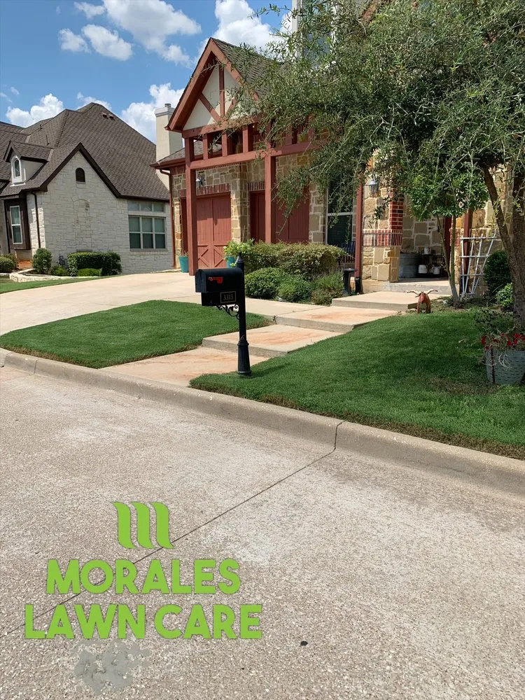 Professional landscaping services for outdoor upgrades in Tyler, TX by Morales Lawn Care