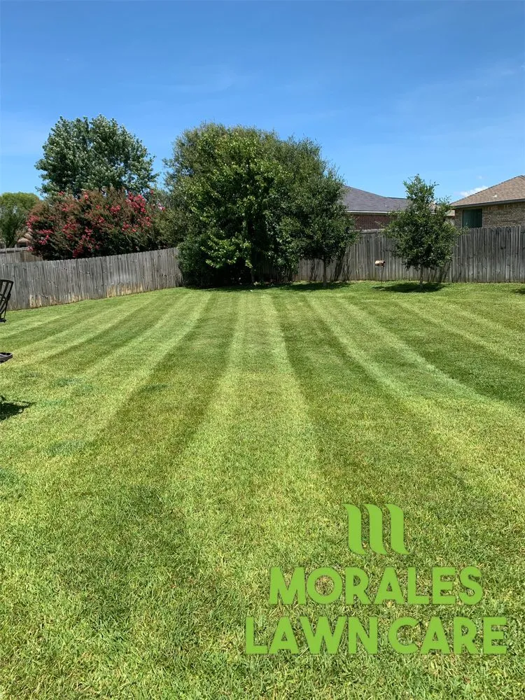 Custom yard maintenance in Tyler, TX - Morales Lawn Care