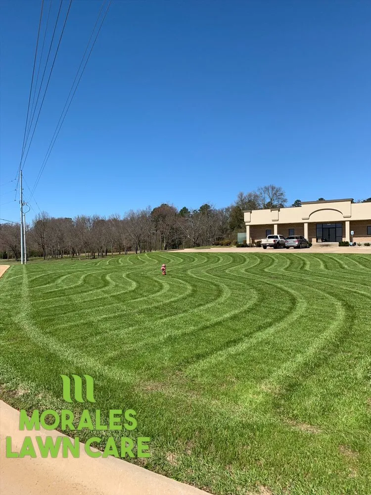 Top-rated garden landscaping in Tyler, TX - Morales Lawn Care