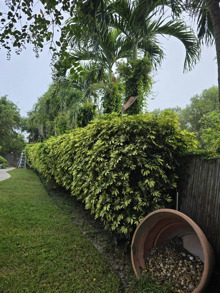 Professional landscape installation for year-round maintenance across New Port Richey, FL - Morales Lawn Service And Landscaping