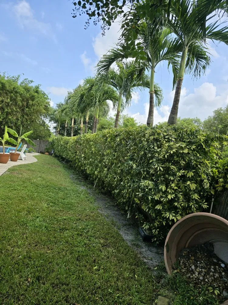 Expert landscape installation for year-round maintenance across New Port Richey, FL - Morales Lawn Service And Landscaping