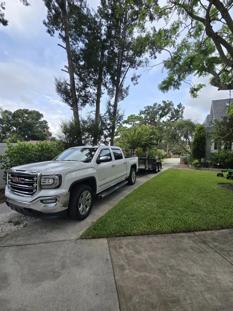 Custom yard cleanup service near you across New Port Richey, FL - Morales Lawn Service And Landscaping