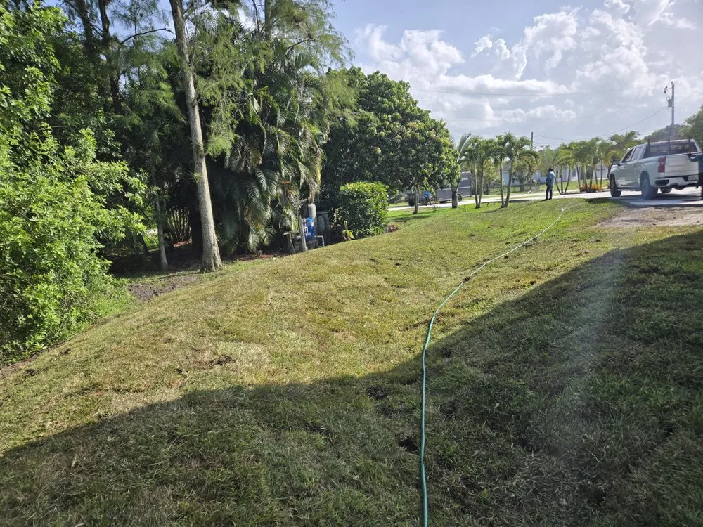 Professional landscape installation for beautiful yards in West Palm Beach, FL by Morales Lawn Services