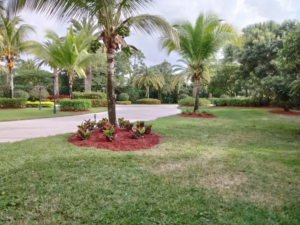 Affordable lawn care service near you in West Palm Beach, FL by Morales Lawn Services
