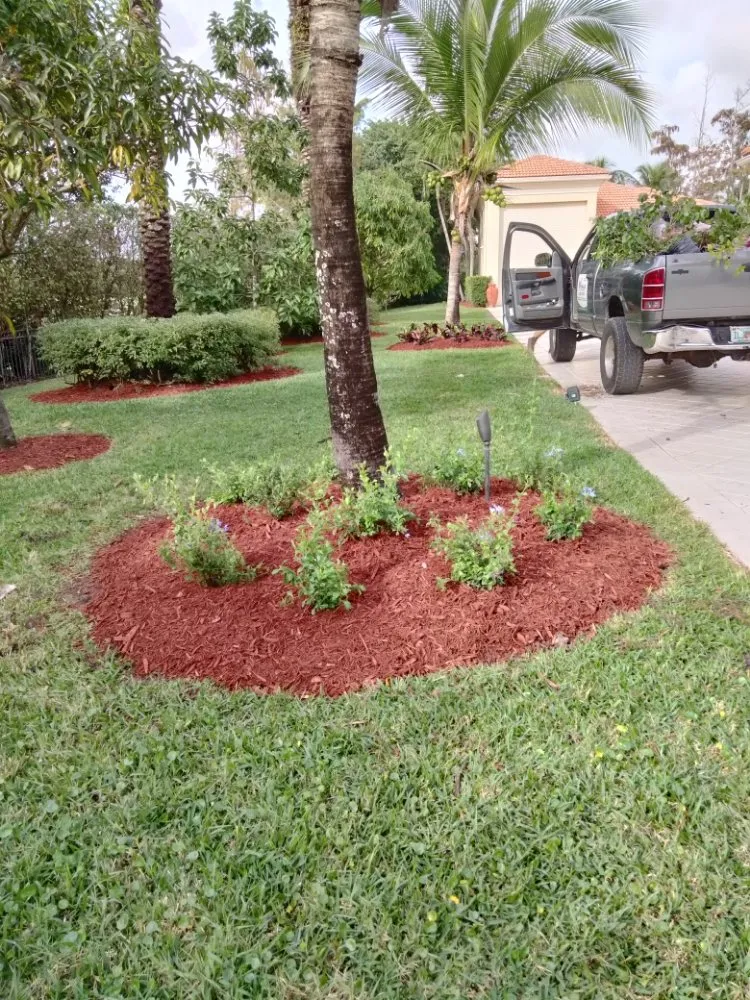 Reliable lawn care service in West Palm Beach, FL - Morales Lawn Services