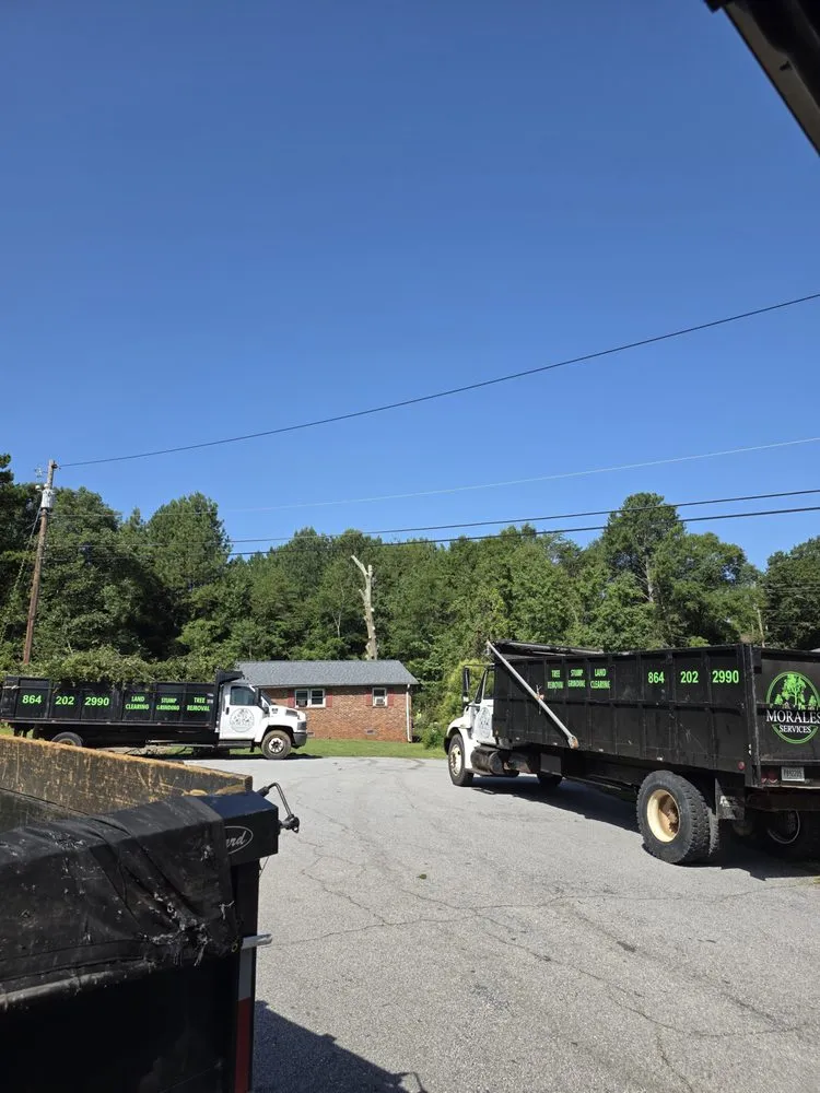 Professional landscape design experts serving Greenville, SC - Morales Services