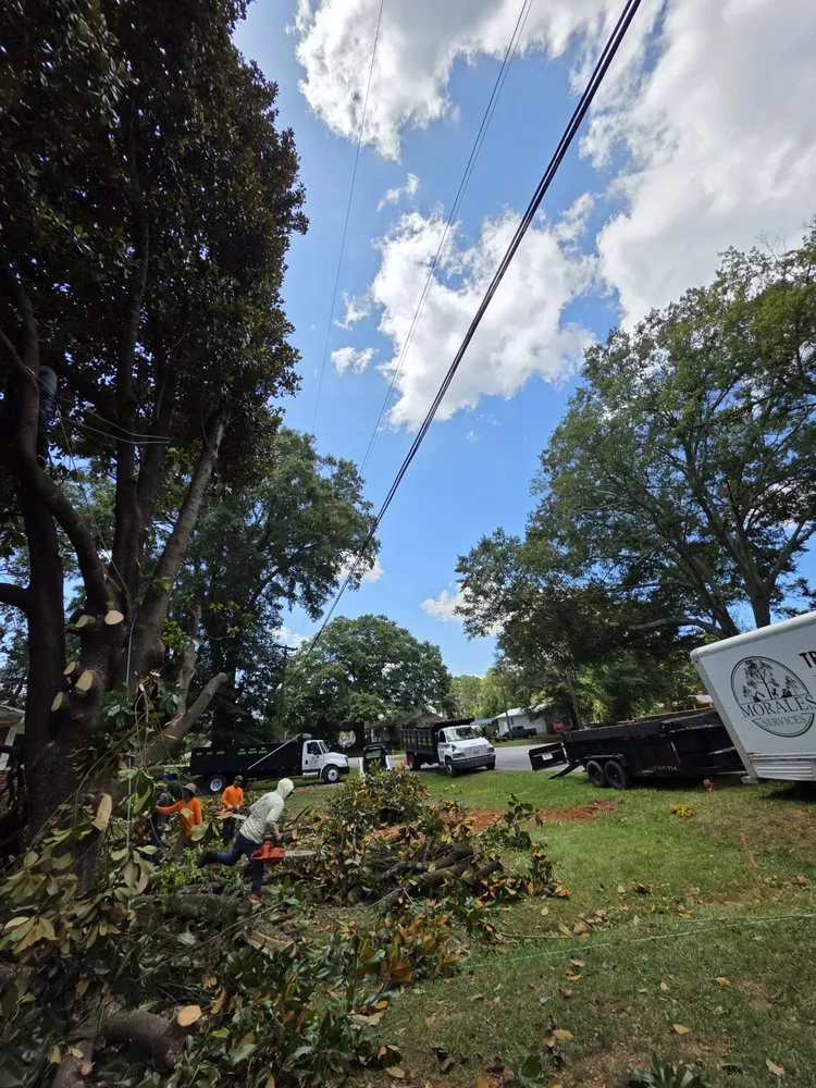 Expert landscape installation with custom design in Greenville, SC by Morales Services