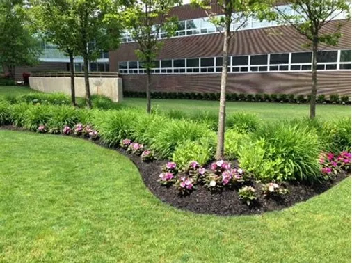 Top-rated yard cleanup service in Waukesha, WI - Morales Services