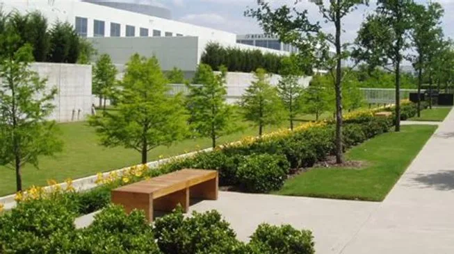 Trusted yard maintenance in Waukesha, WI by Morales Services