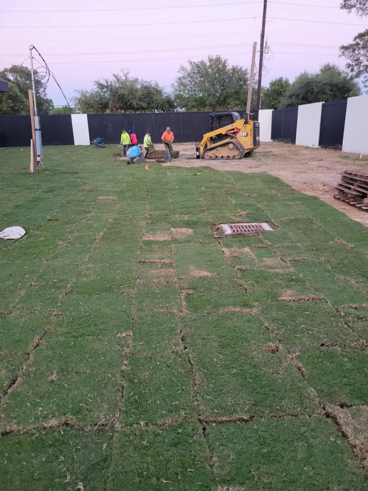 Trusted yard maintenance in Humble, TX by Morales Sprinklers And Landscaping