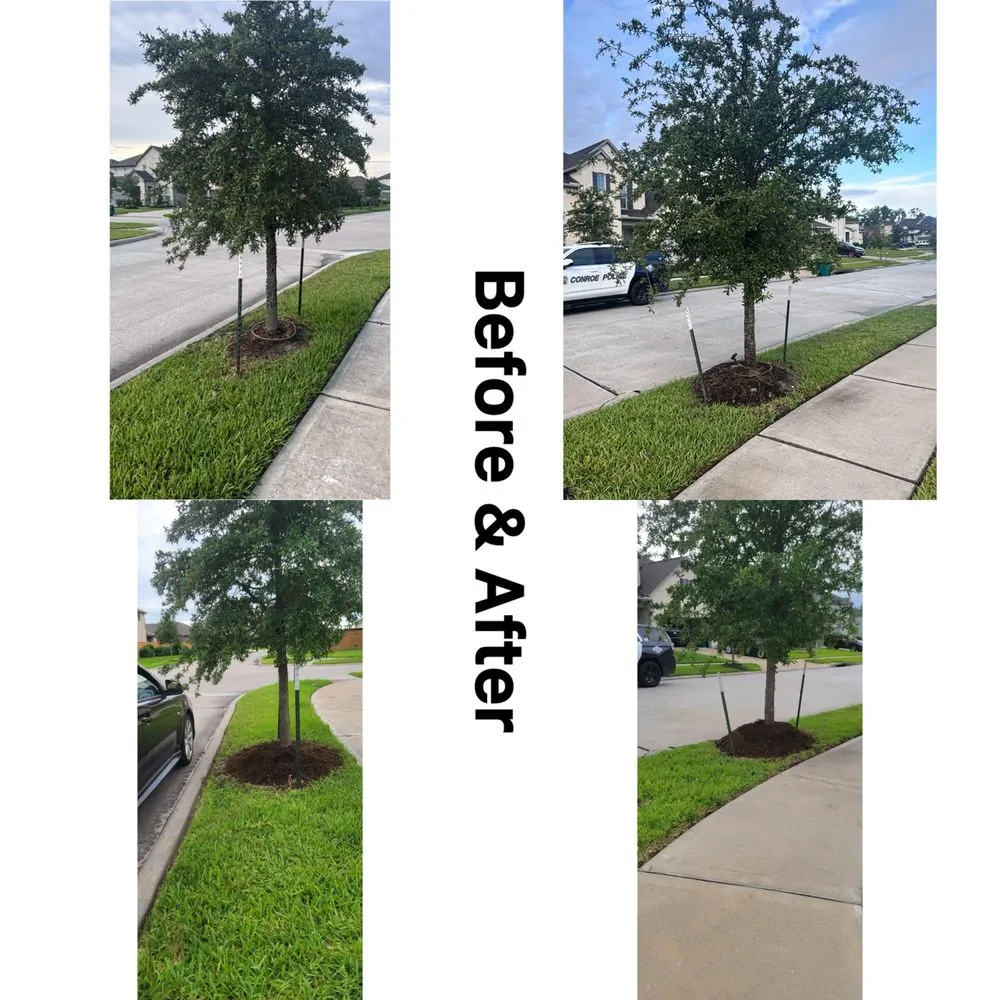 Professional yard maintenance in Humble, TX by Morales Sprinklers And Landscaping