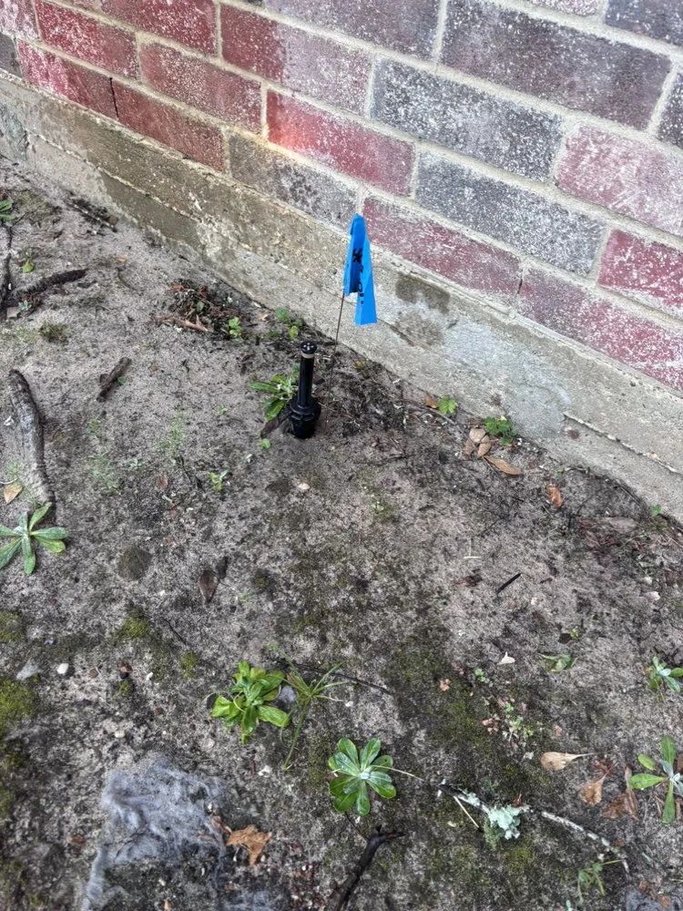 Reliable lawn mowing service in Humble, TX - Morales Sprinklers And Landscaping