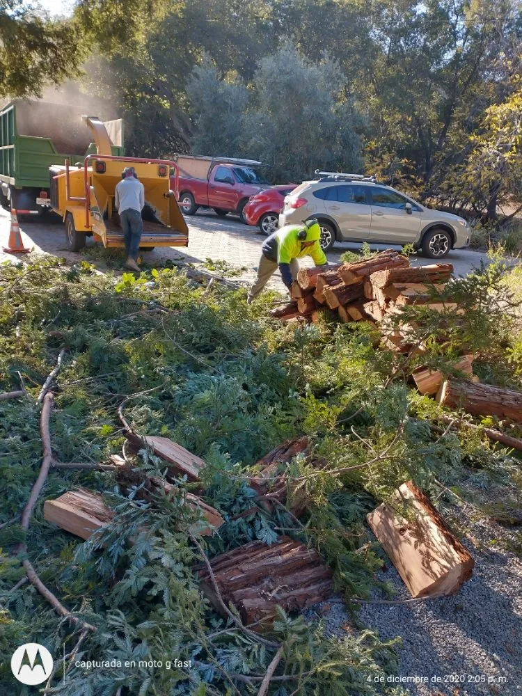 Reliable yard maintenance for outdoor upgrades across Concord, CA - Morales Tree Service & Landscaping