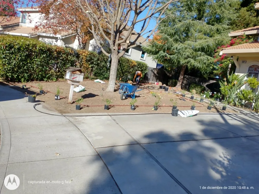 Expert garden landscaping for homes in Concord, CA by Morales Tree Service & Landscaping