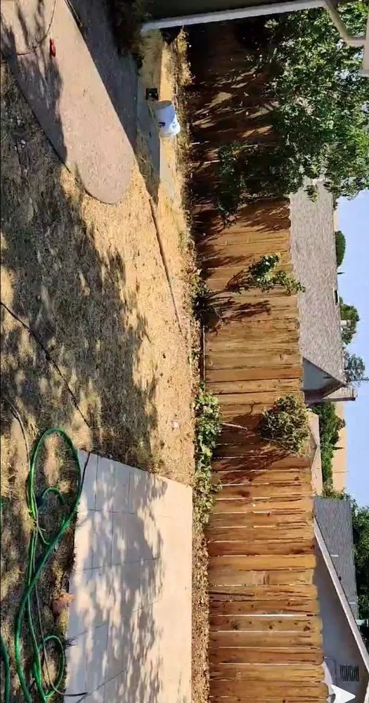 Affordable yard cleanup service in Concord, CA - Morales Tree Service & Landscaping