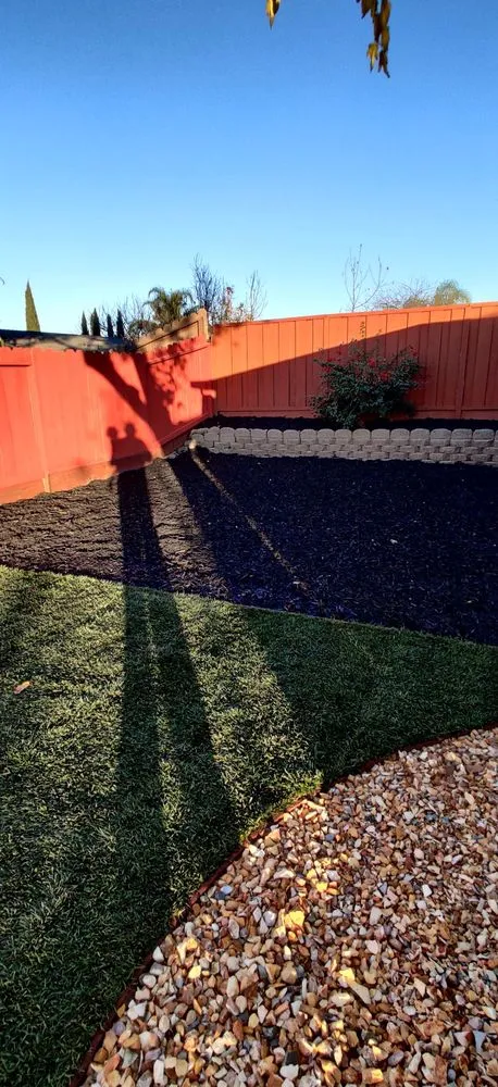 Reliable yard cleanup service in Concord, CA - Morales Tree Service & Landscaping