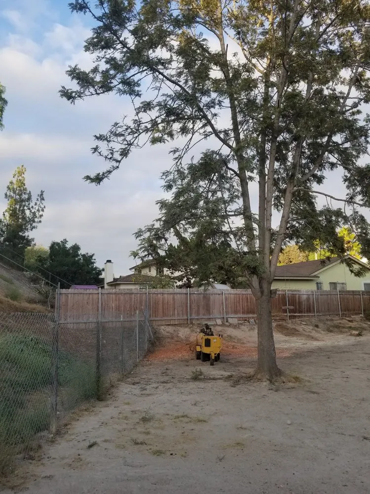 Trusted lawn care service in National City, CA by Morales Tree Service