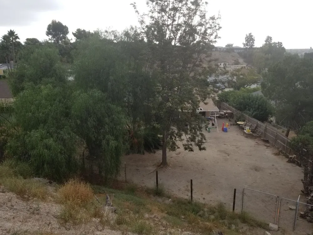 Local landscape design experts serving National City, CA - Morales Tree Service