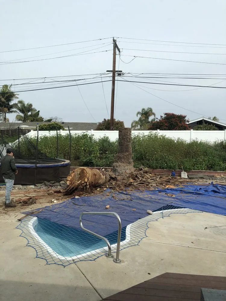 Reliable lawn mowing service for beautiful yards in National City, CA by Morales Tree Service