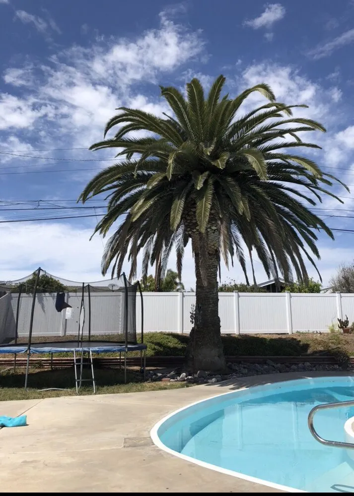 Custom landscape installation experts serving National City, CA - Morales Tree Service