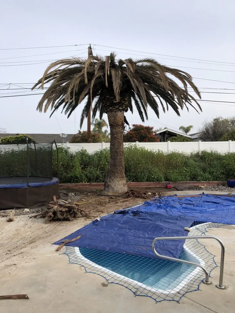 Professional landscape installation experts serving National City, CA - Morales Tree Service