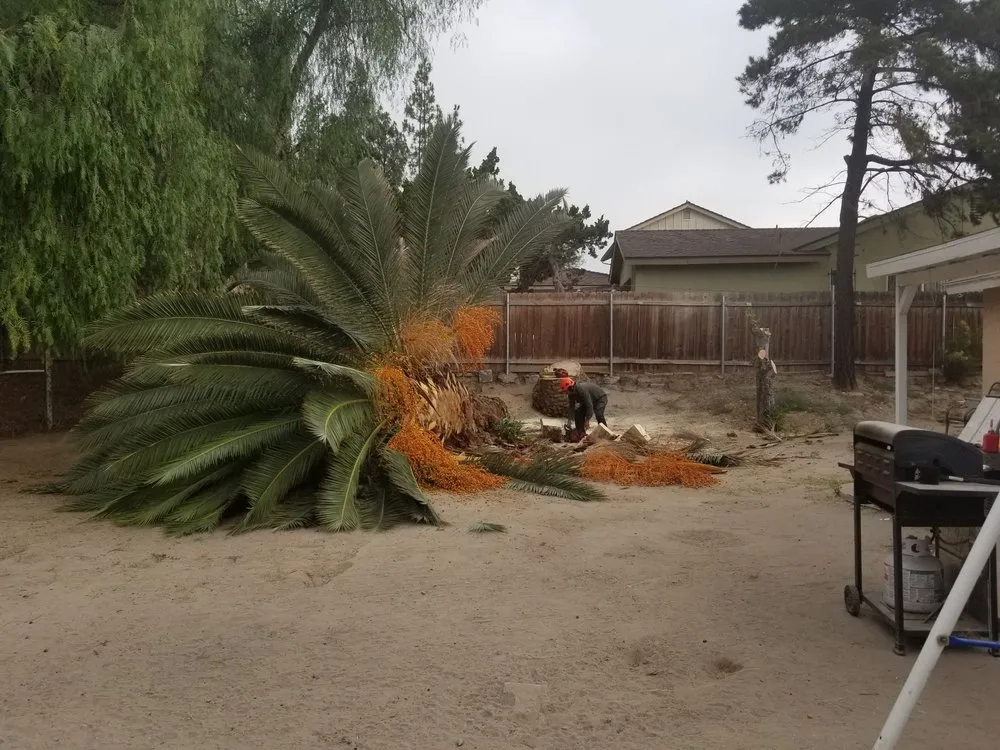 Affordable residential landscaping with custom design across National City, CA - Morales Tree Service