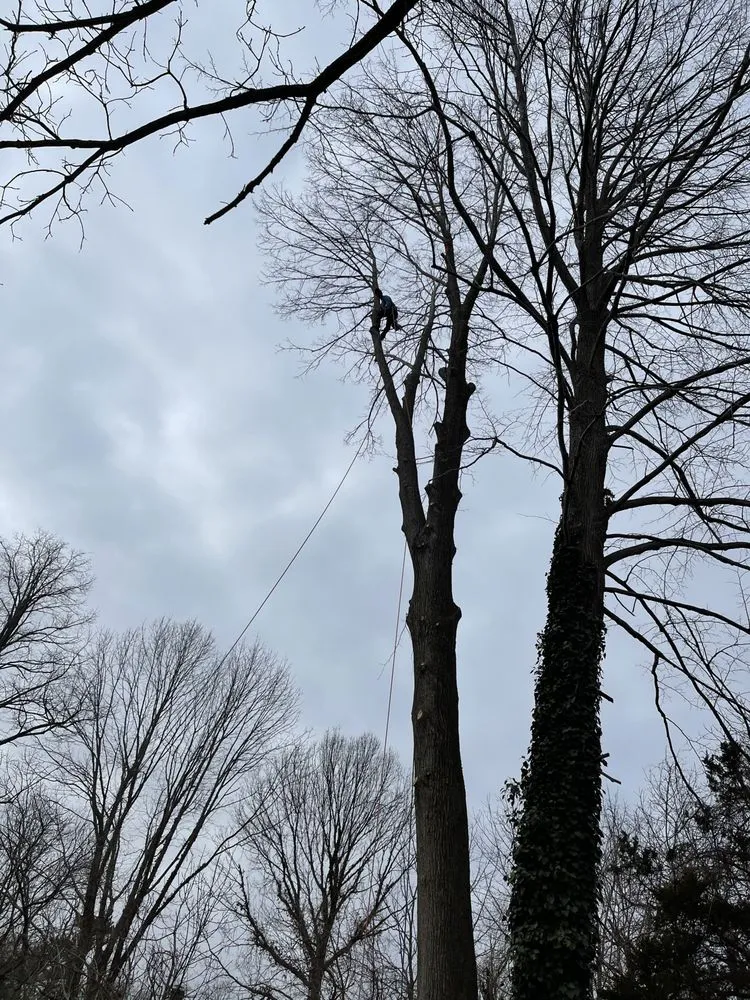 Trusted landscape installation experts serving Copiague, NY - Morales Tree Services