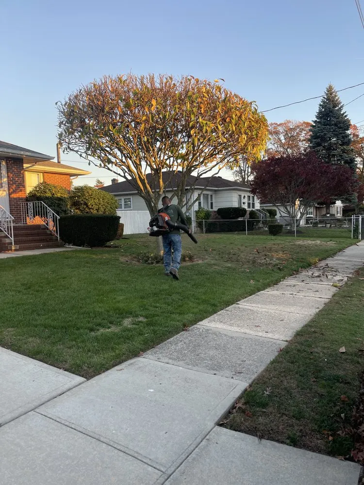 Custom yard maintenance experts serving Copiague, NY - Morales Tree Services
