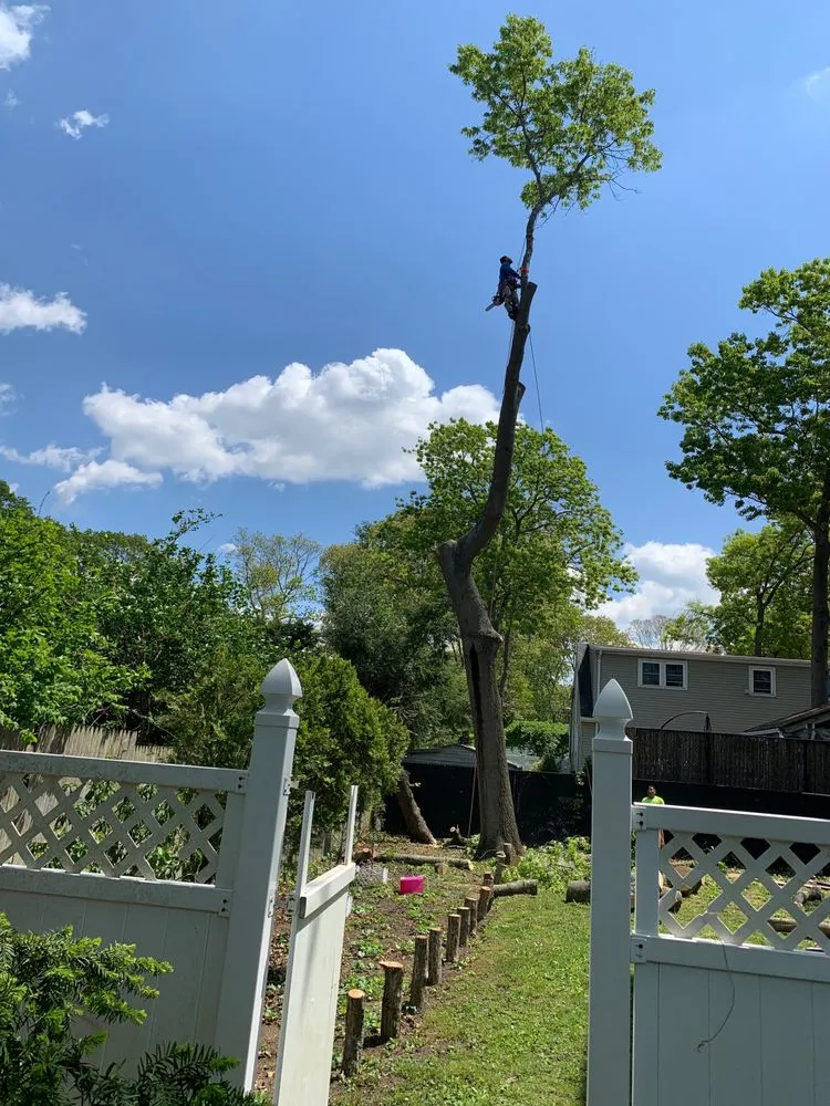 Expert landscaping services experts serving Copiague, NY - Morales Tree Services