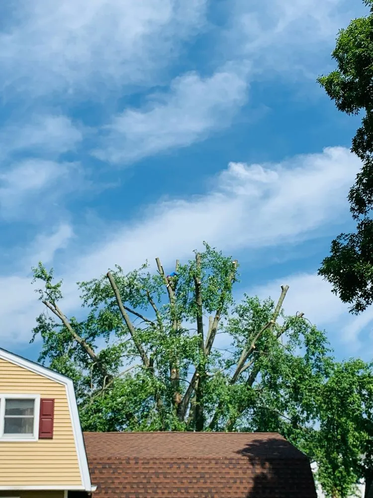 Expert residential landscaping in Copiague, NY - Morales Tree Services