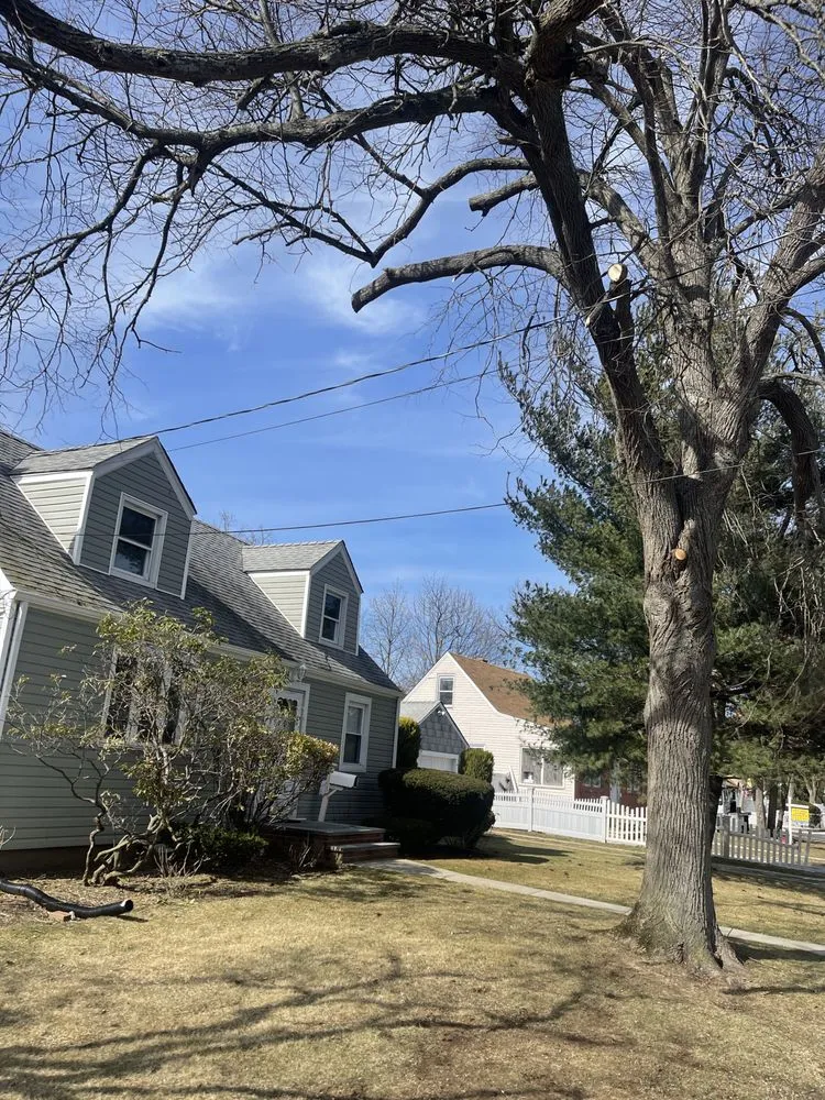 Trusted outdoor landscaping in Copiague, NY - Morales Tree Services