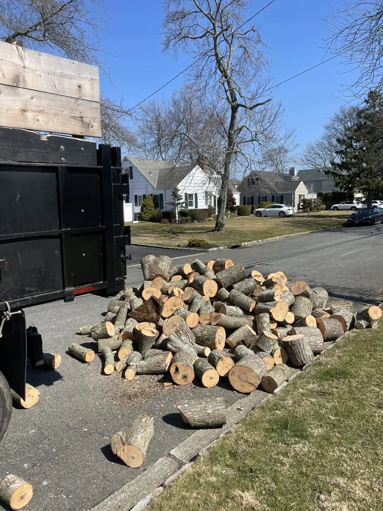 Top-rated landscape installation in Copiague, NY by Morales Tree Services