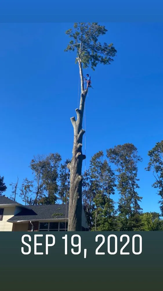 Expert lawn mowing service experts serving Copiague, NY - Morales Tree Services