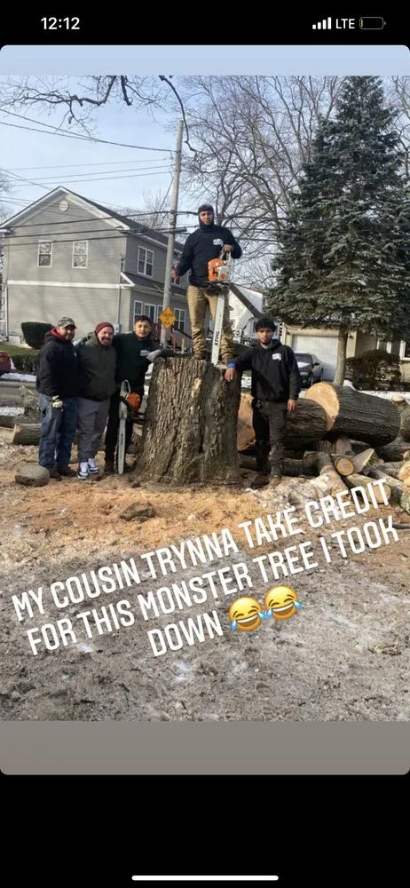 Professional landscape installation in Copiague, NY - Morales Tree Services