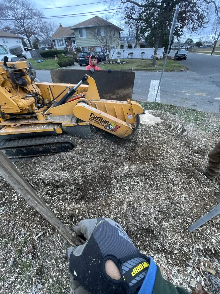 Affordable outdoor landscaping for beautiful yards in Copiague, NY by Morales Tree Services