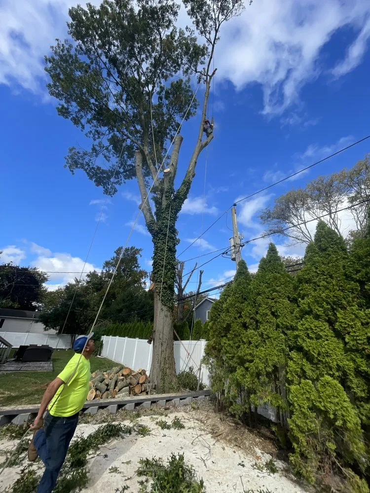 Custom landscaping services in Copiague, NY by Morales Tree Services