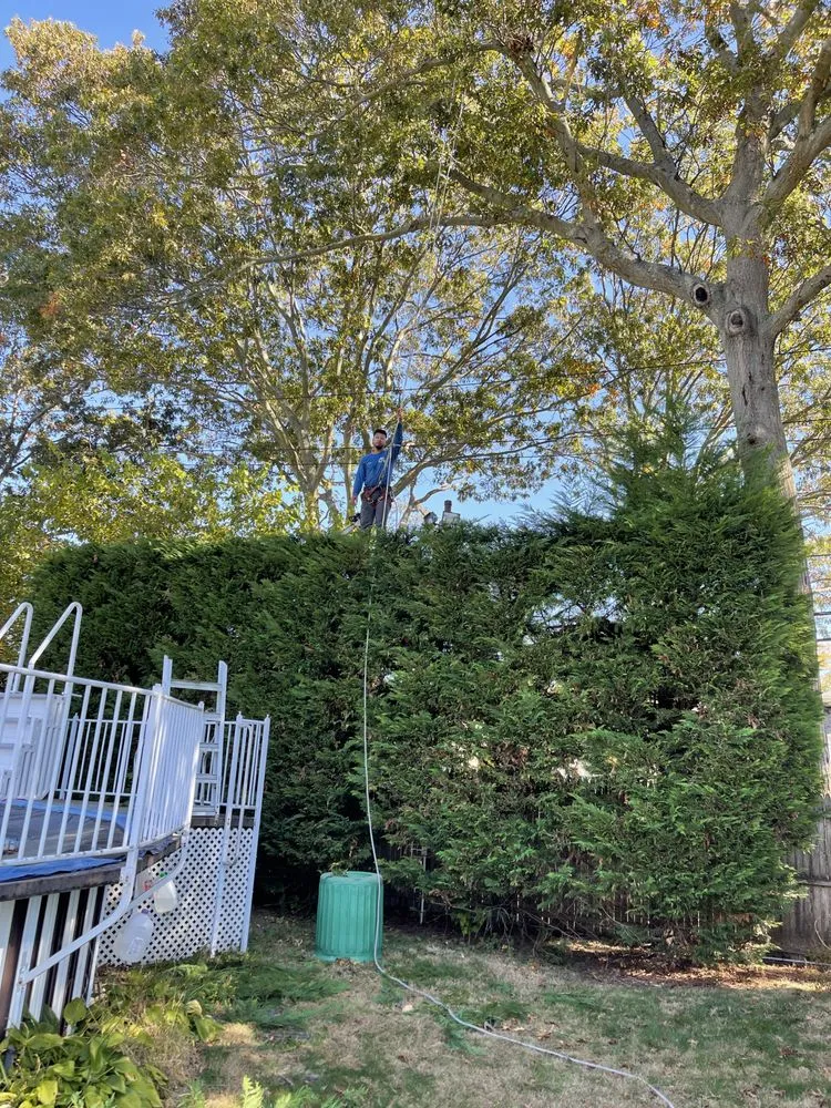 Top-rated landscape design for outdoor upgrades in Copiague, NY by Morales Tree Services