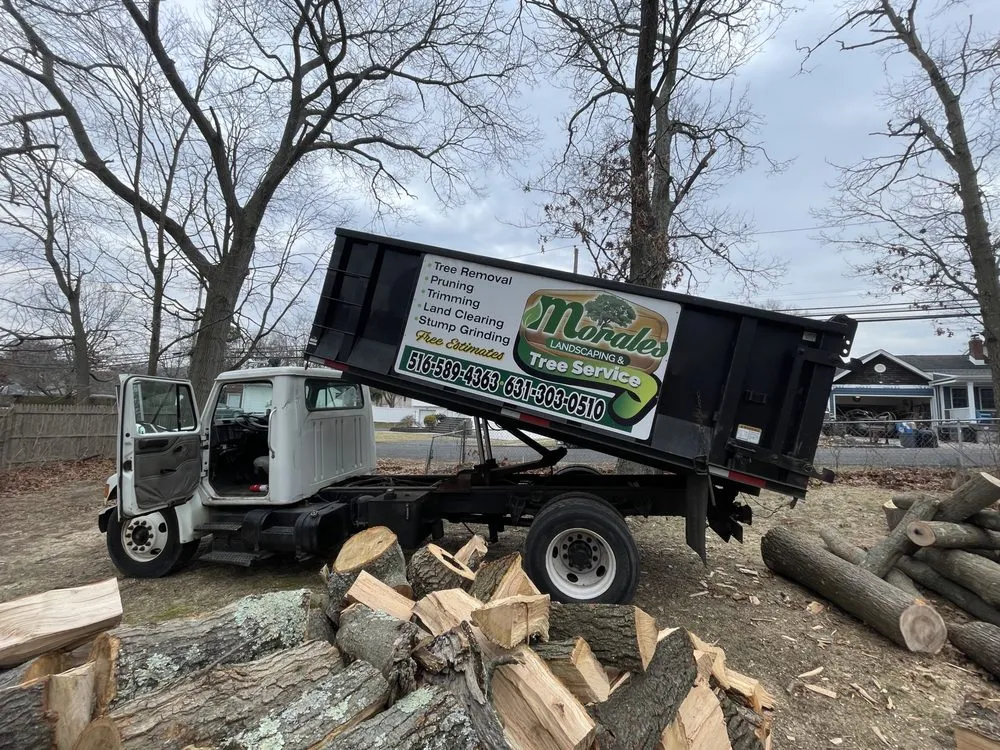 Local residential landscaping experts serving Copiague, NY - Morales Tree Services