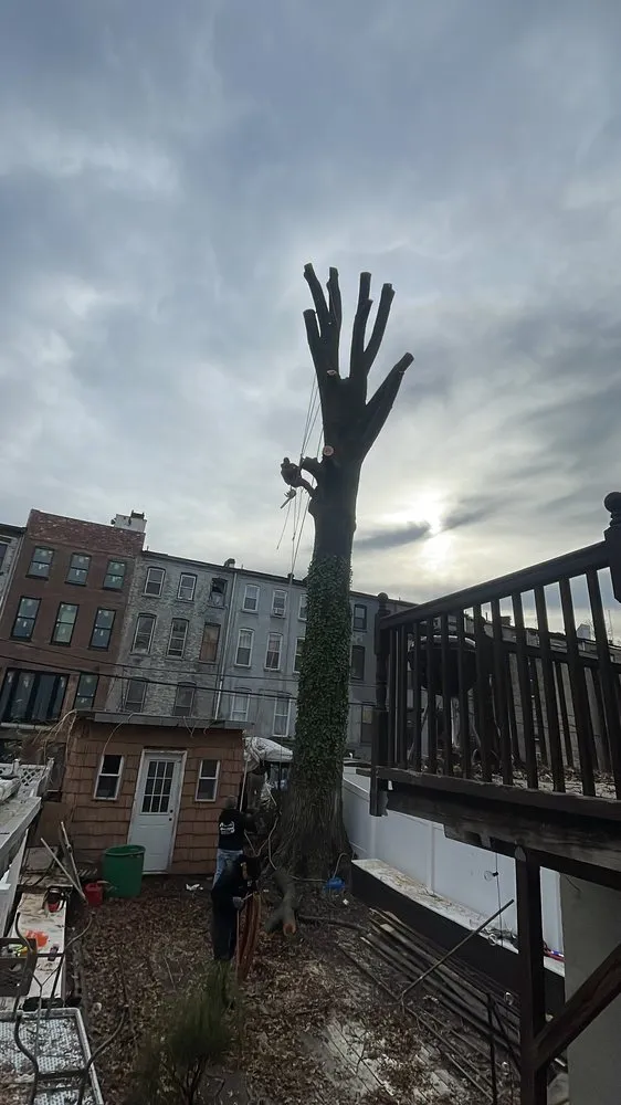 Custom landscape installation with custom design across Copiague, NY - Morales Tree Services