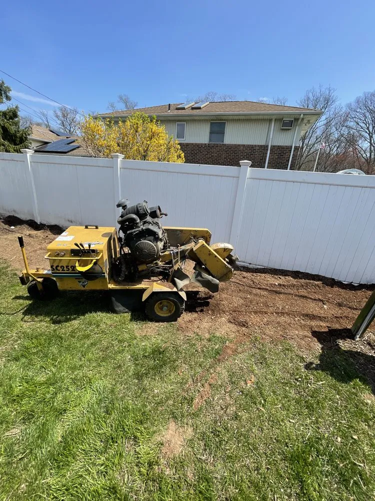 Affordable lawn care service for residential properties across Copiague, NY - Morales Tree Services