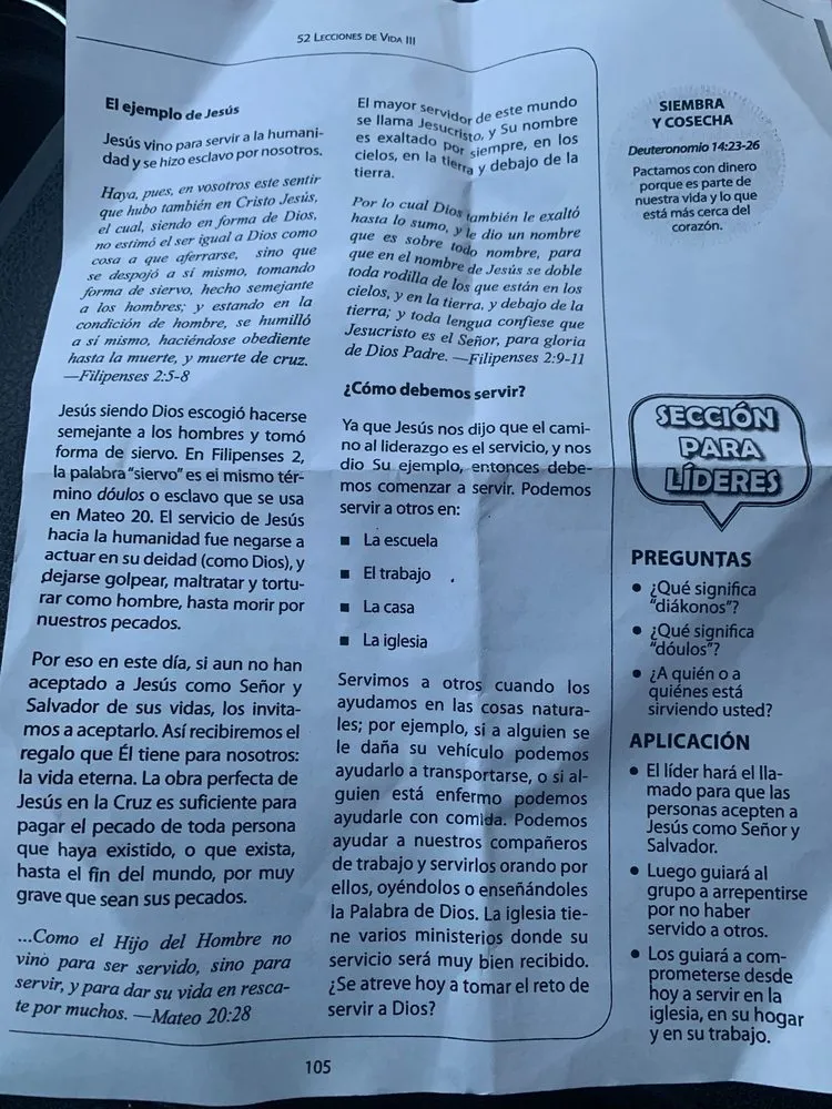 Affordable garden landscaping in Spring, TX by Moraleslara Landscape & remodeling