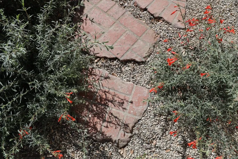 Expert residential landscaping in Ojai, CA by Morami Studio