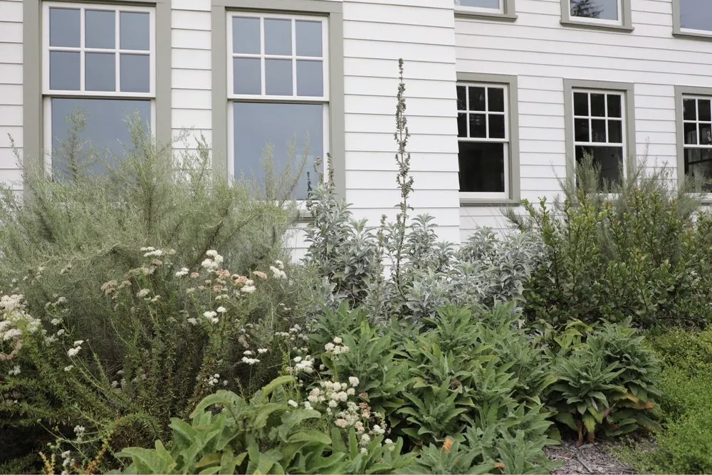 Custom landscape installation experts serving Ojai, CA - Morami Studio