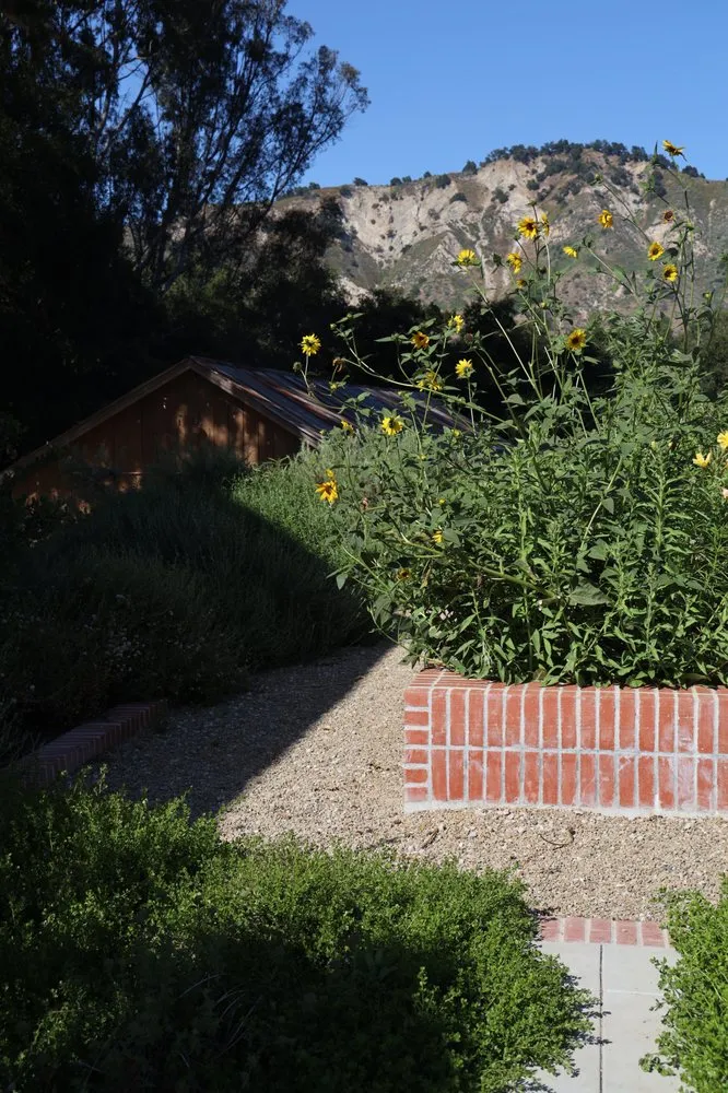 Top-rated lawn care service for year-round maintenance in Ojai, CA by Morami Studio