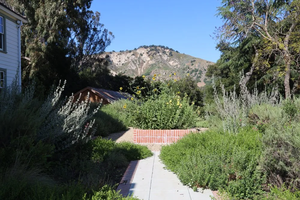 Expert yard cleanup service with custom design in Ojai, CA by Morami Studio