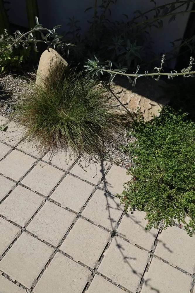 Trusted garden landscaping for homes in Ojai, CA by Morami Studio