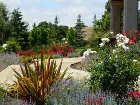 Top-rated landscape design experts serving Nipomo, CA - Moran Landscapes