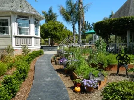 Reliable lawn mowing service for beautiful yards in Nipomo, CA by Moran Landscapes