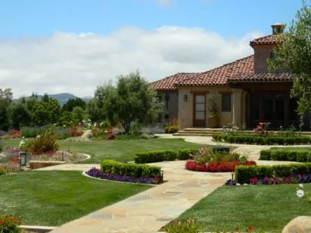 Affordable yard cleanup service for year-round maintenance in Nipomo, CA by Moran Landscapes
